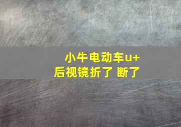 小牛电动车u+后视镜折了 断了